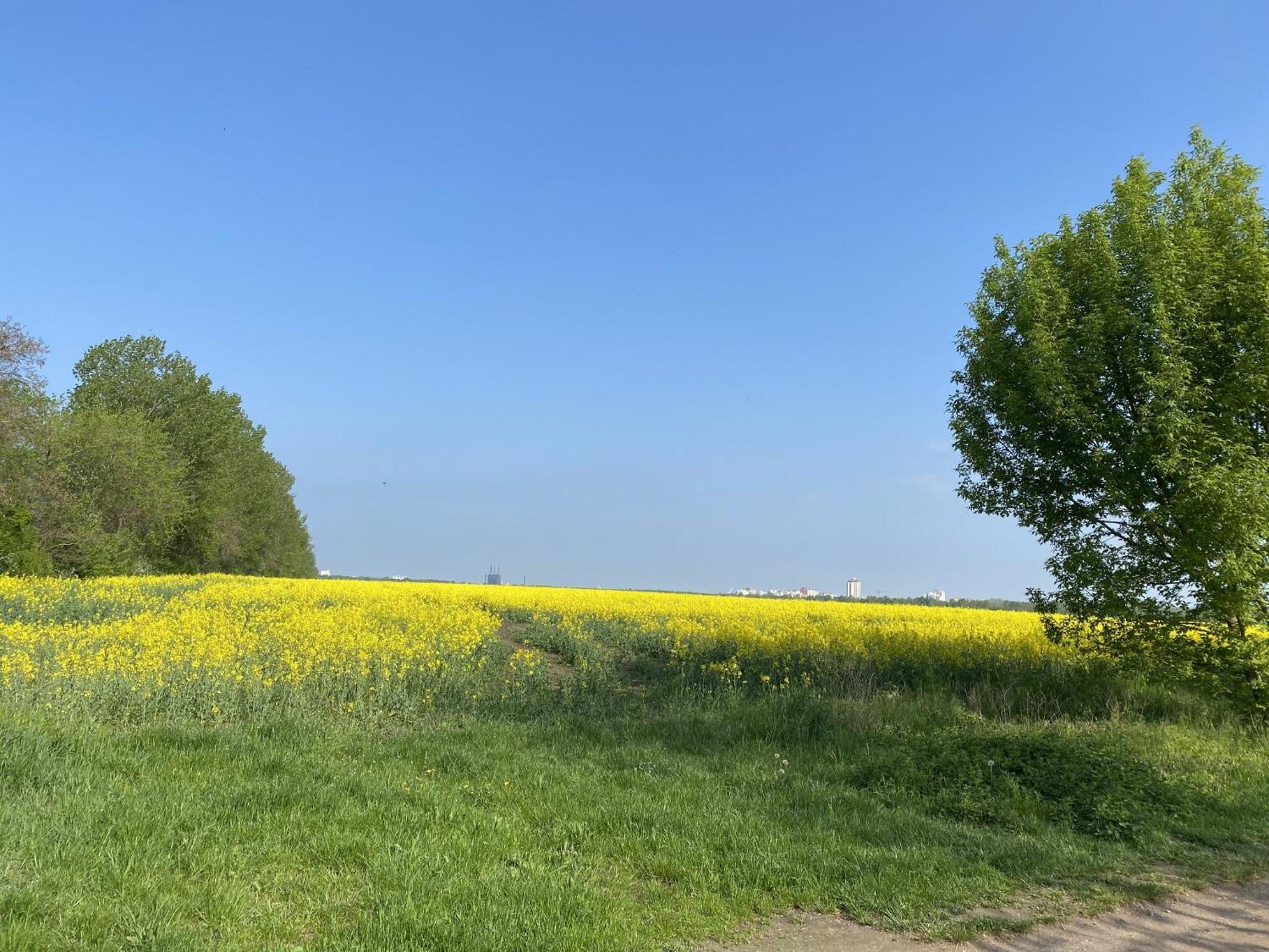 Ferien Am Berliner Mauerweg * Berlin
