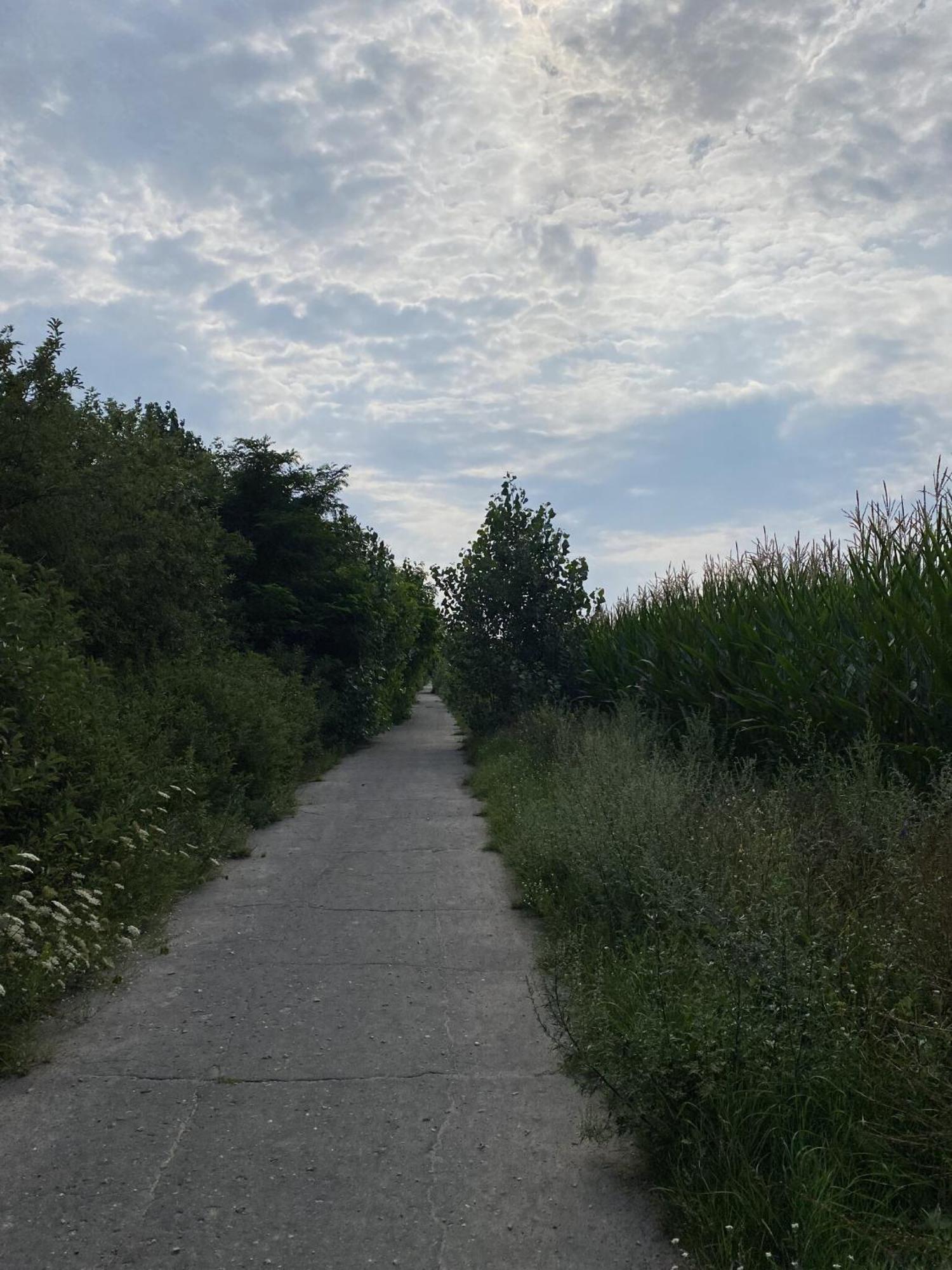 Ferien Am Berliner Mauerweg Ferienhaus *